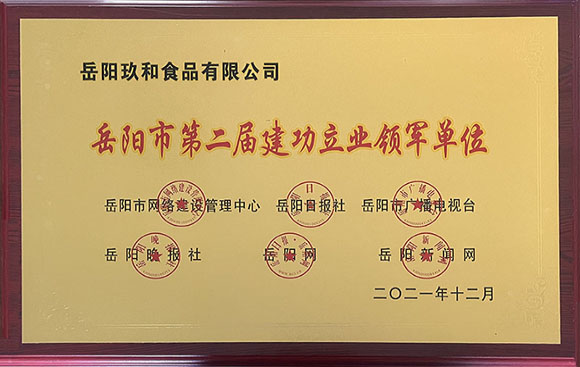岳阳市第二届建功立业领军单位